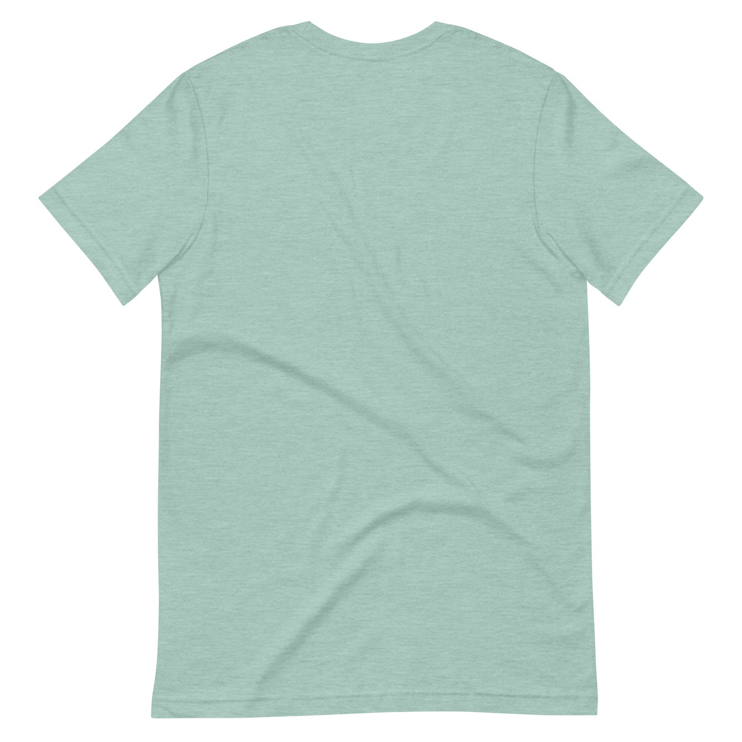 Back view of a unisex heather dusty blue t-shirt displayed on a white background – minimalist comfy style for everyday wear.