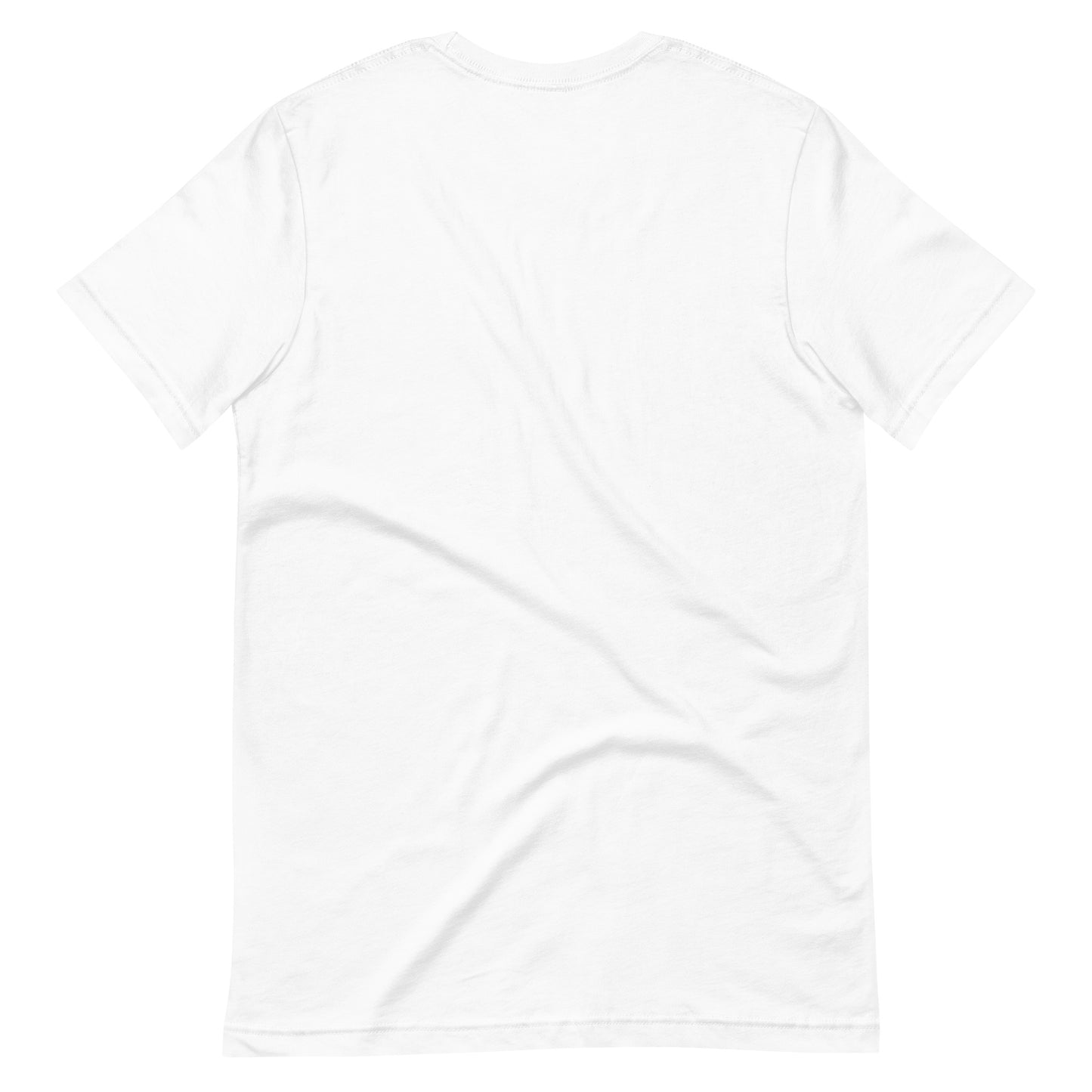 White t-shirt back of the t-shirt no design on a white background